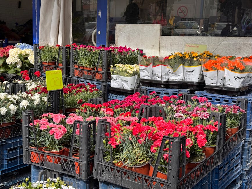 An outdoor display of various potted flowers arranged in black plastic crates and white paper wrappers, featuring vibrant pink, red, orange, white, and yellow blooms. The flowers include carnations an